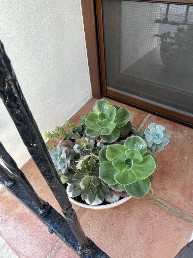 Benalauría La Casita Del Fresnilloヴィラ エクステリア 写真