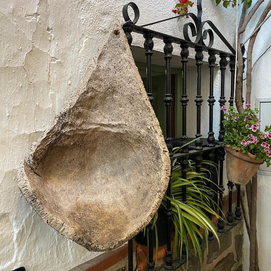 Benalauría La Casita Del Fresnilloヴィラ エクステリア 写真